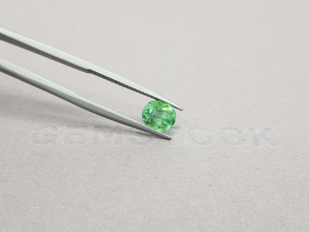 Green tourmaline oval cut 1.12 ct Image №5