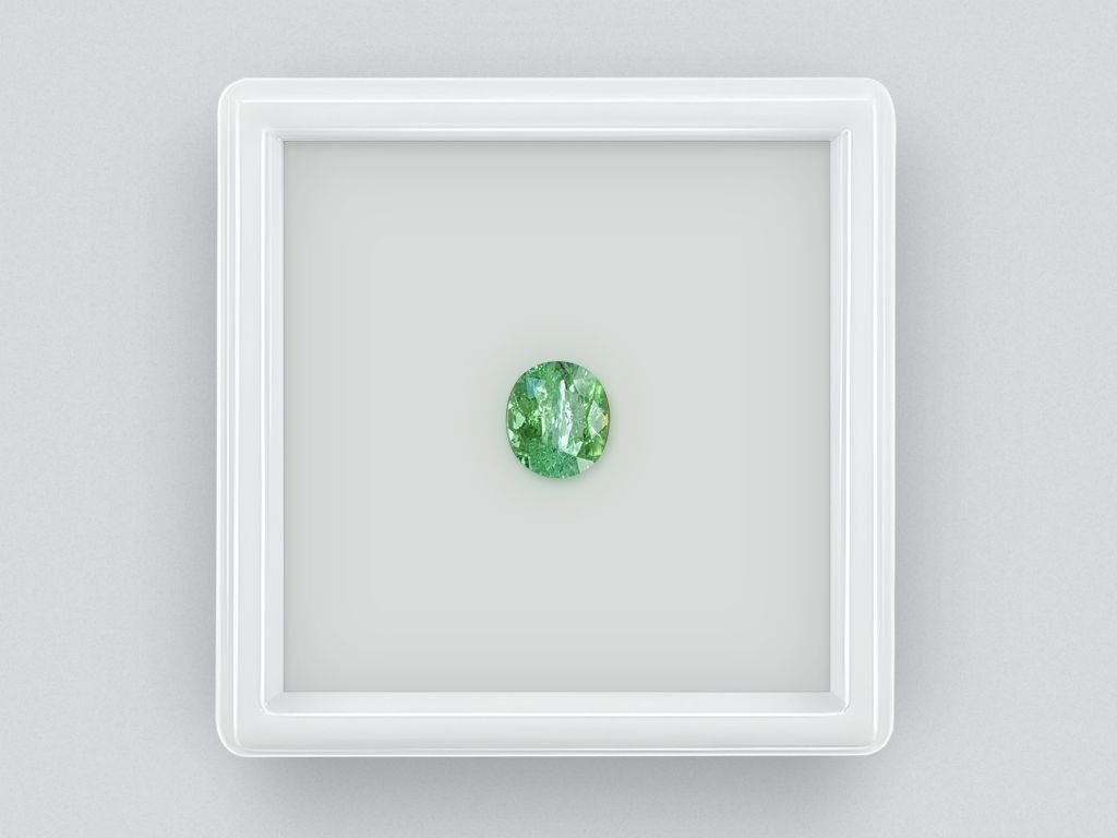 Green tourmaline oval cut 1.12 ct Image №1