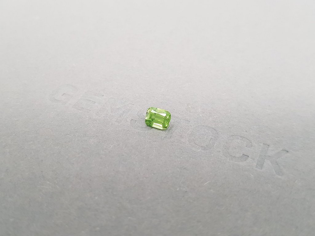 Garnet tsavorite cushion cut 0.50 ct Image №4