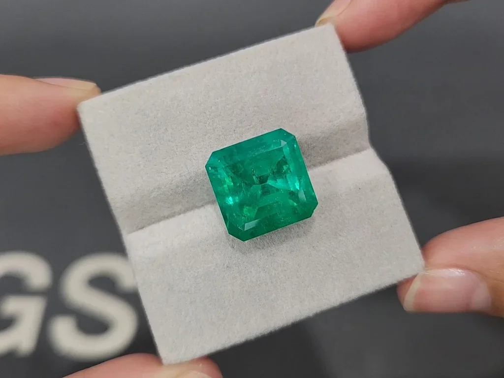 Large emerald  Intense Green octagon cut 11.85 carats, Colombia  Image №4