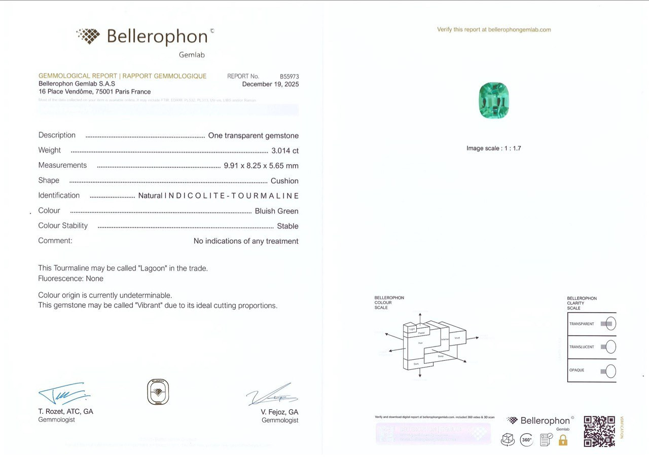 Vibrant Lagoon Tourmaline in cushion cut 3.01 carats, Afghanistan Image №6