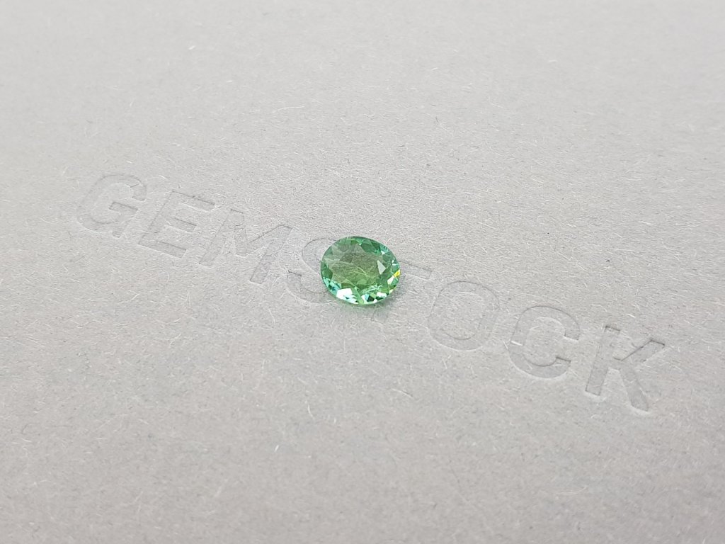 Tourmaline verdelite oval cut 0.57 ct Image №4