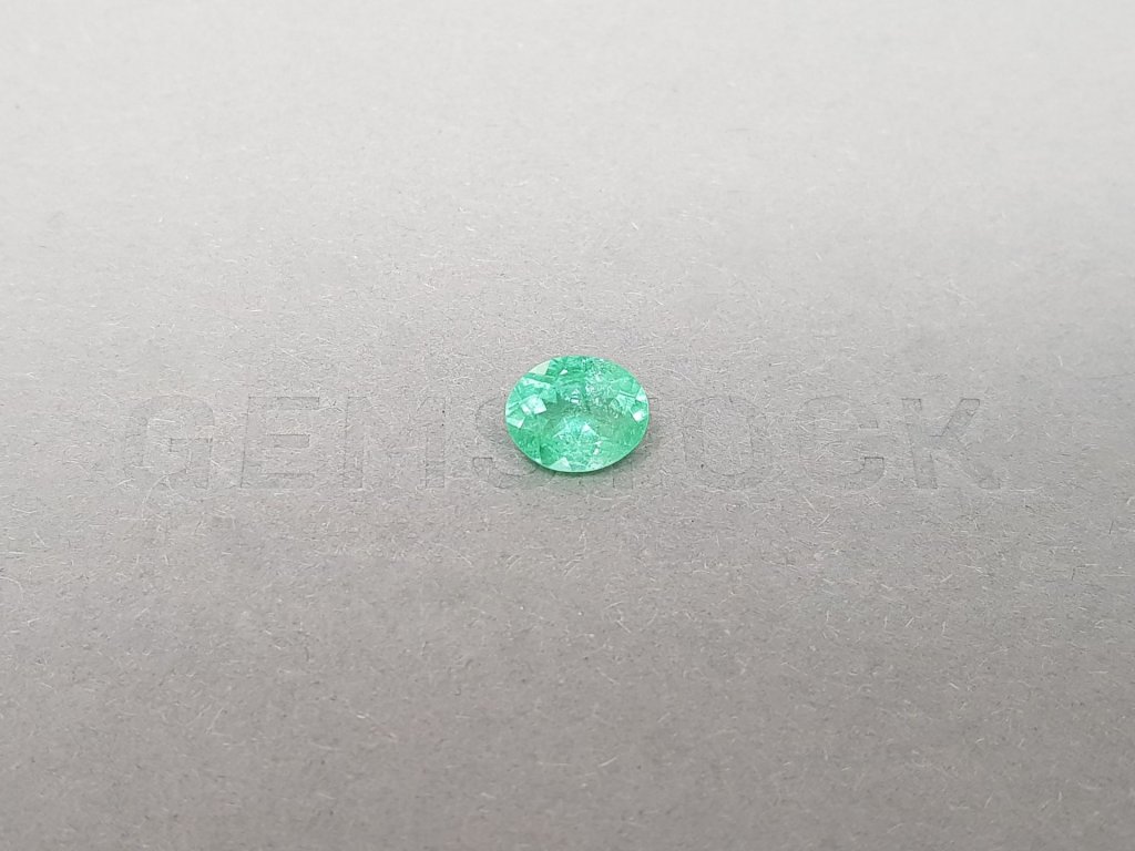 Greenish blue Paraiba oval cut 1.30 ct, Mozambique Image №1