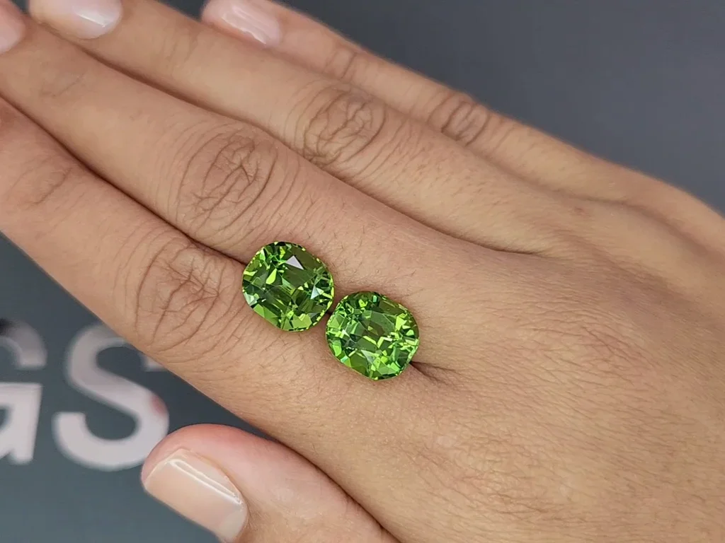 Pair of rare intense green chrome tourmalines in cushion cut 13.74 carats  Image №2