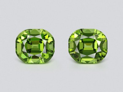 Pair of rare intense green chrome tourmalines in cushion cut 13.74 carats  photo