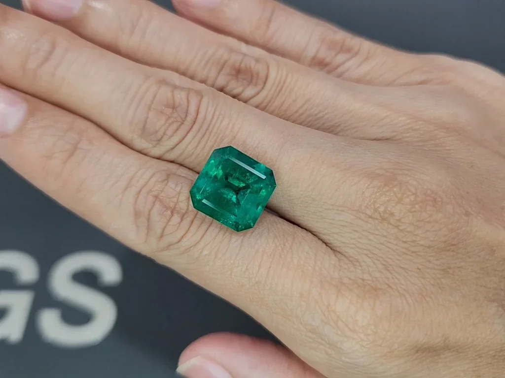 Emerald Vivid Green octagon 8.55 carats, Columbia Image №2