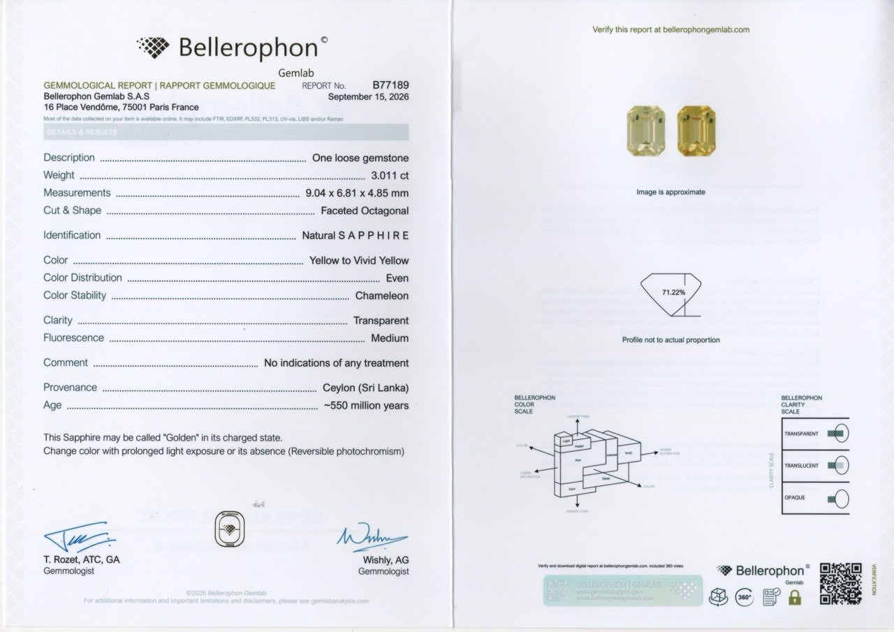 Pair unheated Golden Yellow sapphires octagon cut 6.40 carats, Sri Lanka Image №8