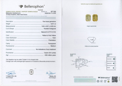 Certificate Pair unheated Golden Yellow sapphires octagon cut 6.40 carats, Sri Lanka