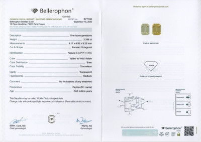 Certificate Pair unheated Golden Yellow sapphires octagon cut 6.40 carats, Sri Lanka