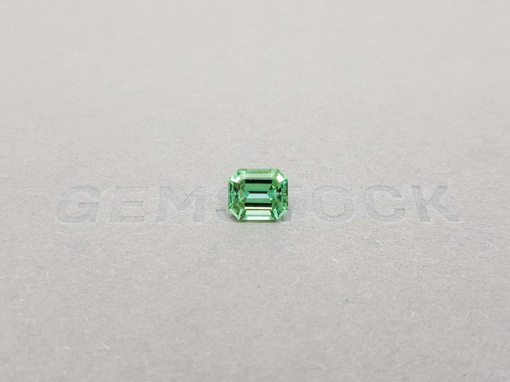 Green Tourmaline Octagon Verdelite 1.64 ct Image №1