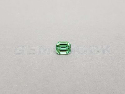 Green Tourmaline Octagon Verdelite 1.64 ct photo