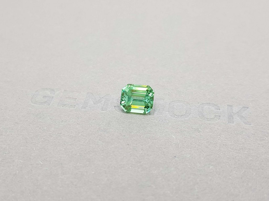 Green Tourmaline Octagon Verdelite 1.64 ct Image №3