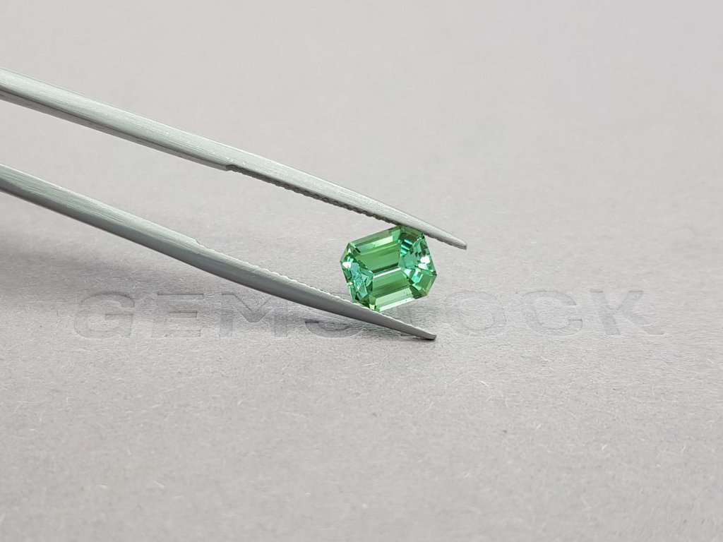 Green Tourmaline Octagon Verdelite 1.64 ct Image №4