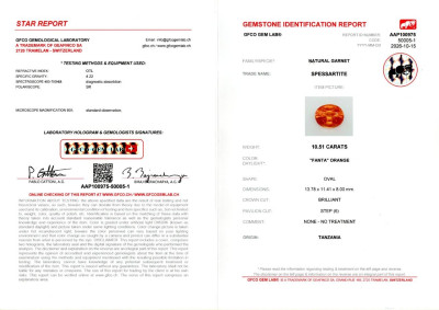 Certificate Spessartine garnet in rare Fanta color oval cut 10.51 carats,Tanzania