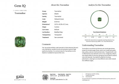 Certificate Green cushion cut tourmaline 6.91 carats, Africa
