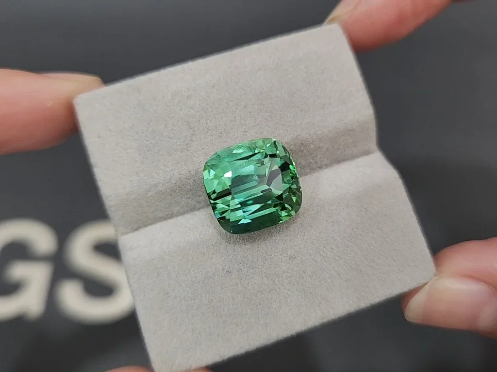 Large tourmaline Lagoon cushion cut 12.35 carats, Afghanistan  Image №4