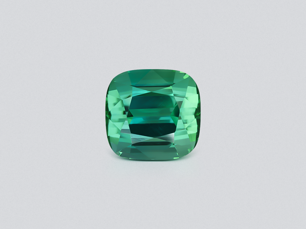 Large tourmaline Lagoon cushion cut 12.35 carats, Afghanistan  Image №1
