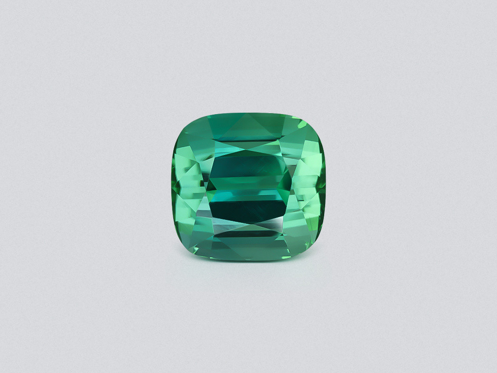 Large tourmaline Lagoon cushion cut 12.35 carats, Afghanistan  Image №1