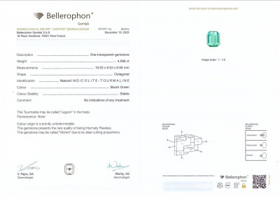 Certificate Vibrant Lagoon Tourmaline in octagon cut 4.60 carats, Afghanistan