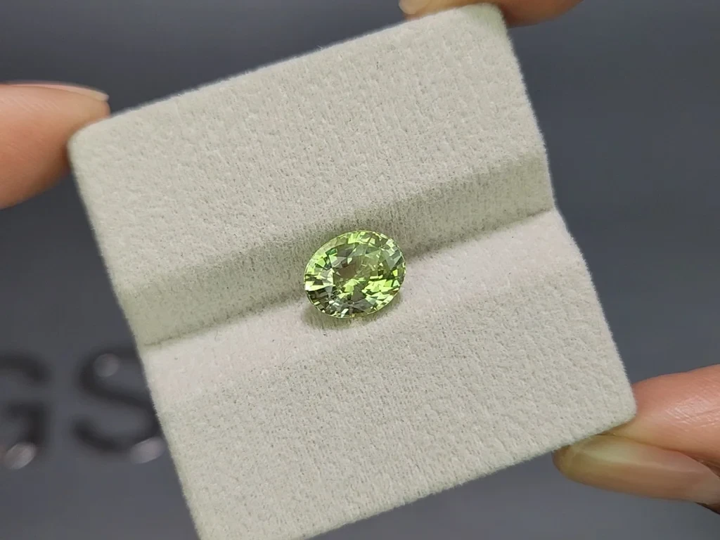 Grossular garne oval cut 3.04 carats, Africa Image №4
