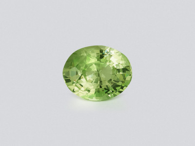 Grossular garne oval cut 3.04 carats, Africa photo