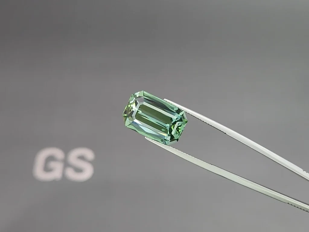 Mint tourmaline octagon cut 13.54 carats, Africa Image №4
