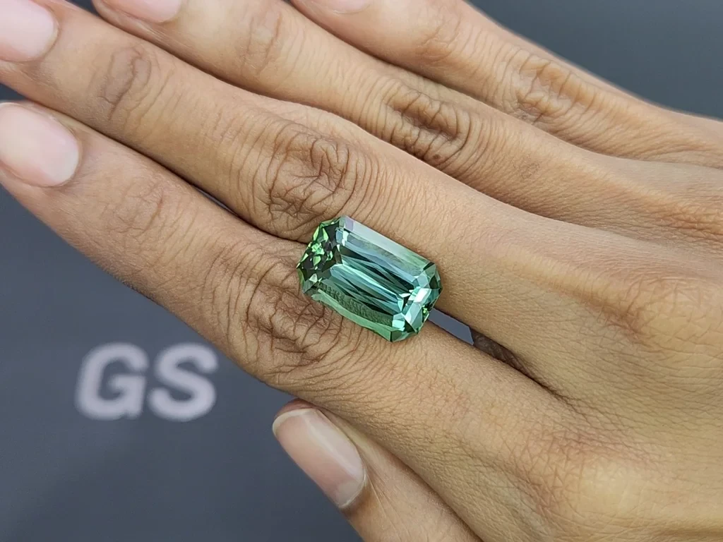 Mint tourmaline octagon cut 13.54 carats, Africa Image №2