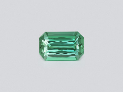 Mint tourmaline octagon cut 13.54 carats, Africa photo
