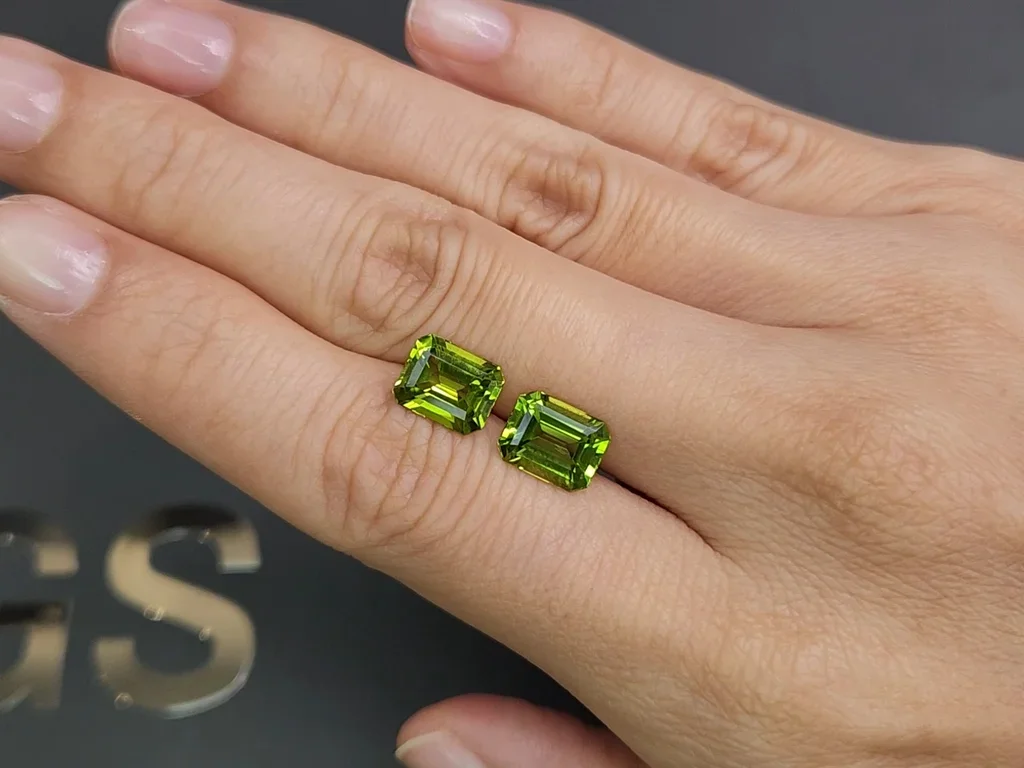 Pair of peridots from Burma in octagon cut 4.69 carats Image №2