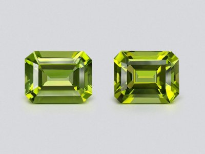 Pair of peridots from Burma in octagon cut 4.69 carats photo