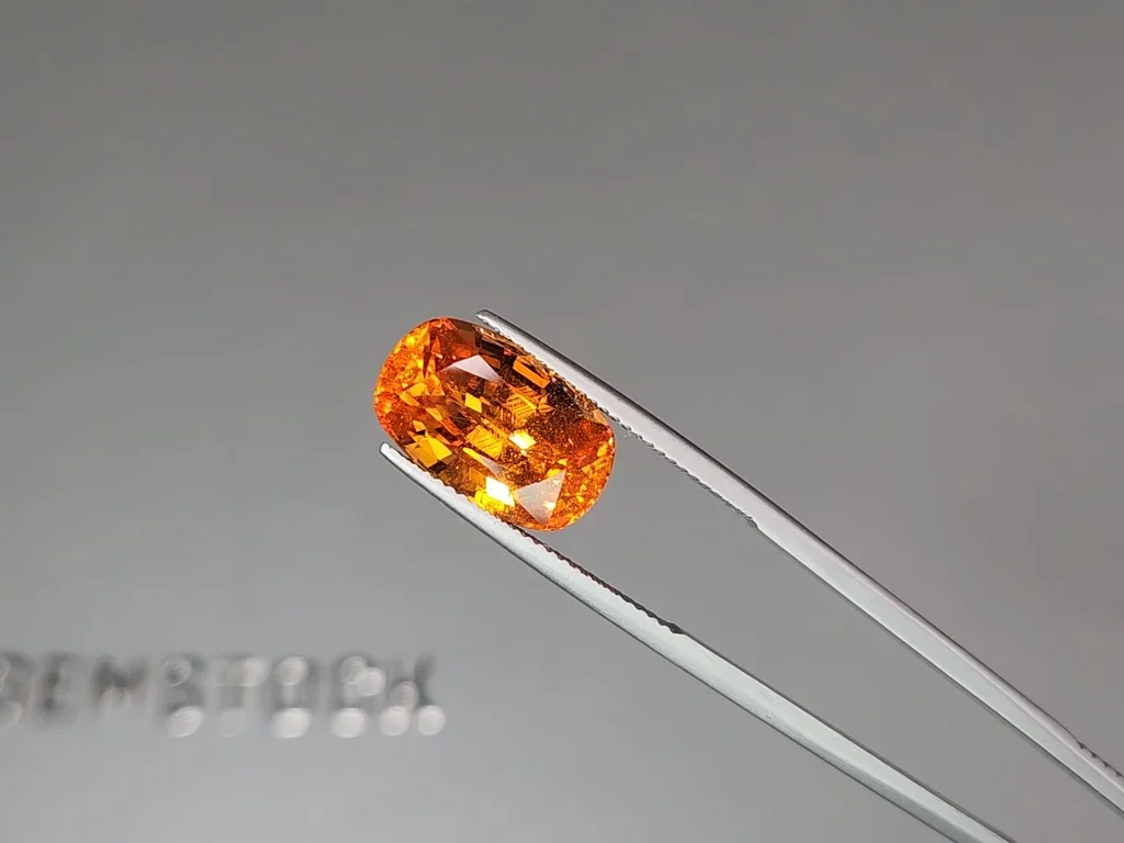 Fanta color spessartine garnet in cushion cut 11.24 Carats Image №3