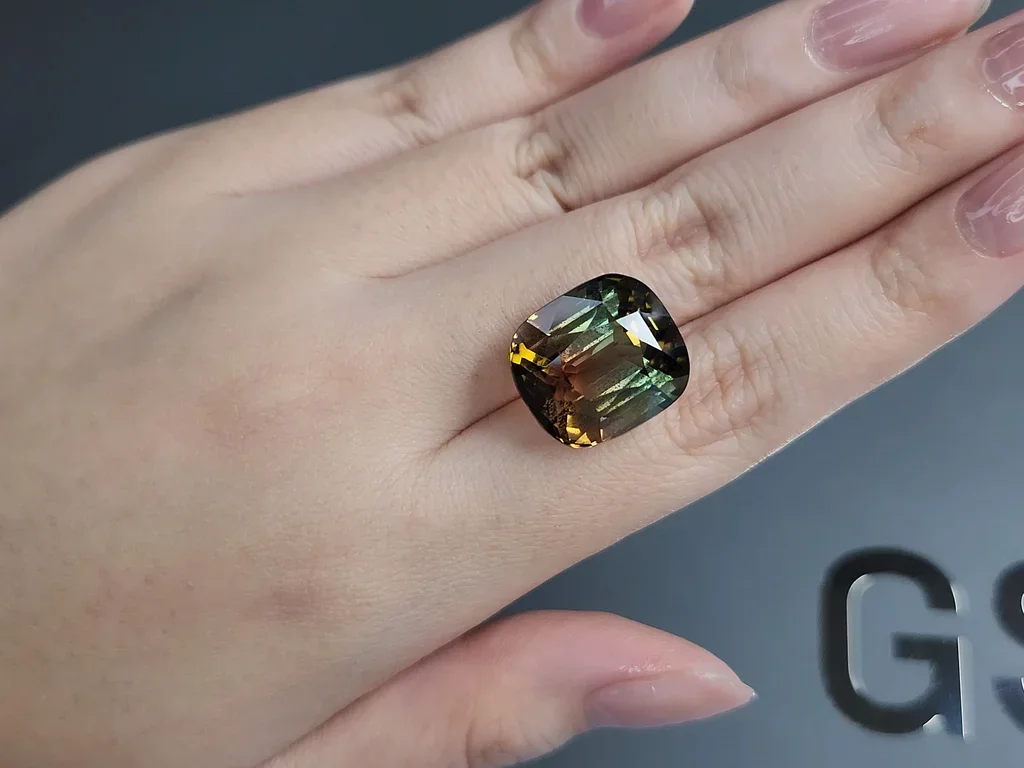 Bi-color tourmaline in cushion cut 24.95 carats, Mozambique  Image №2