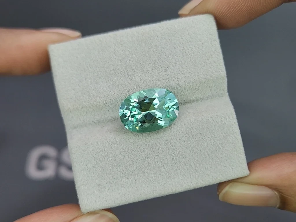Tourmaline oval cut 5.97 carats, Africa Image №4