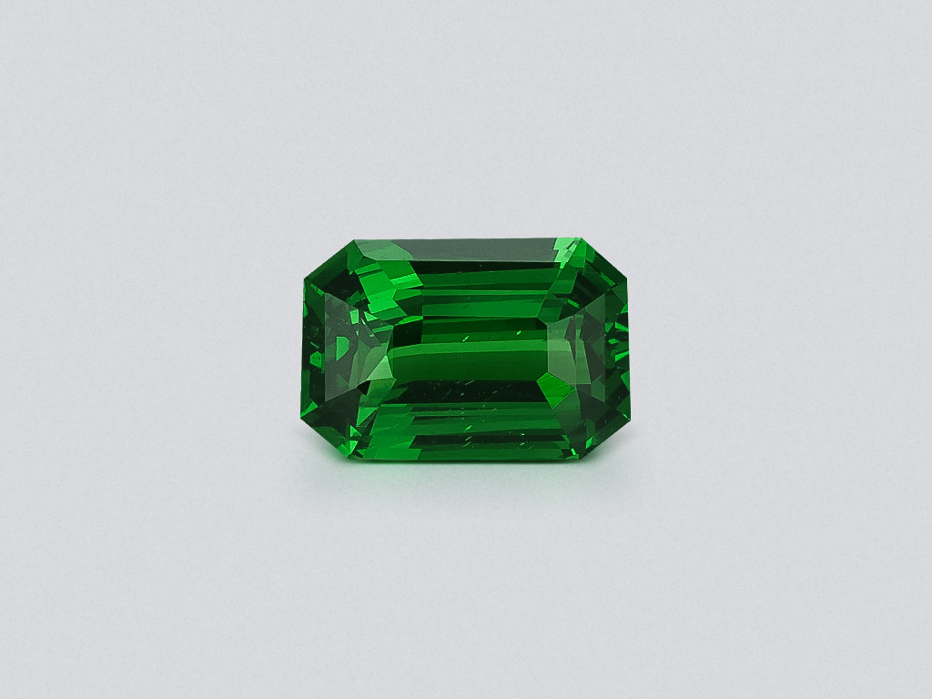 Garnet tsavorite octagon cut 5.01 carats, Africa Image №1