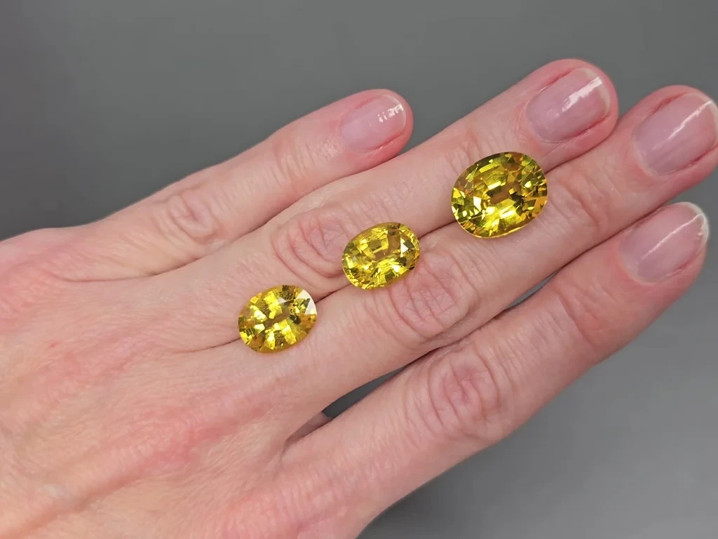 Set of Golden yellow sapphires in oval cut  26.75 carats, Sri Lanka Image №2