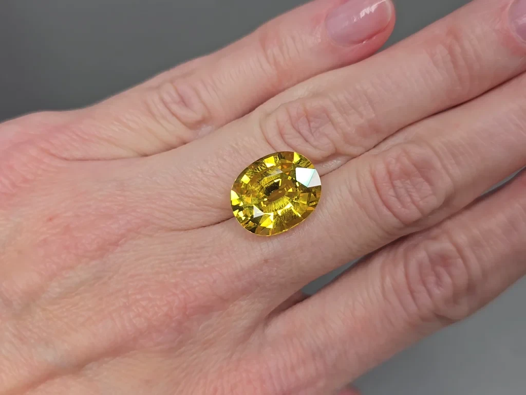 Set of Golden yellow sapphires in oval cut  26.75 carats, Sri Lanka Image №4
