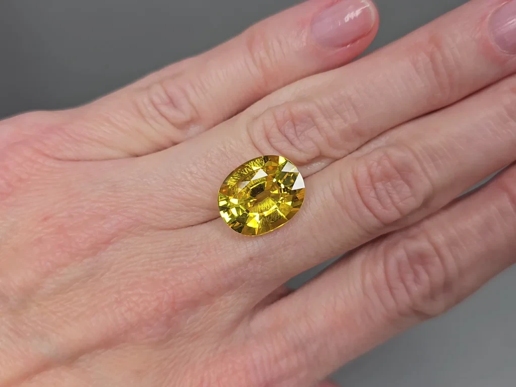 Set of Golden yellow sapphires in oval cut  26.75 carats, Sri Lanka Image №5