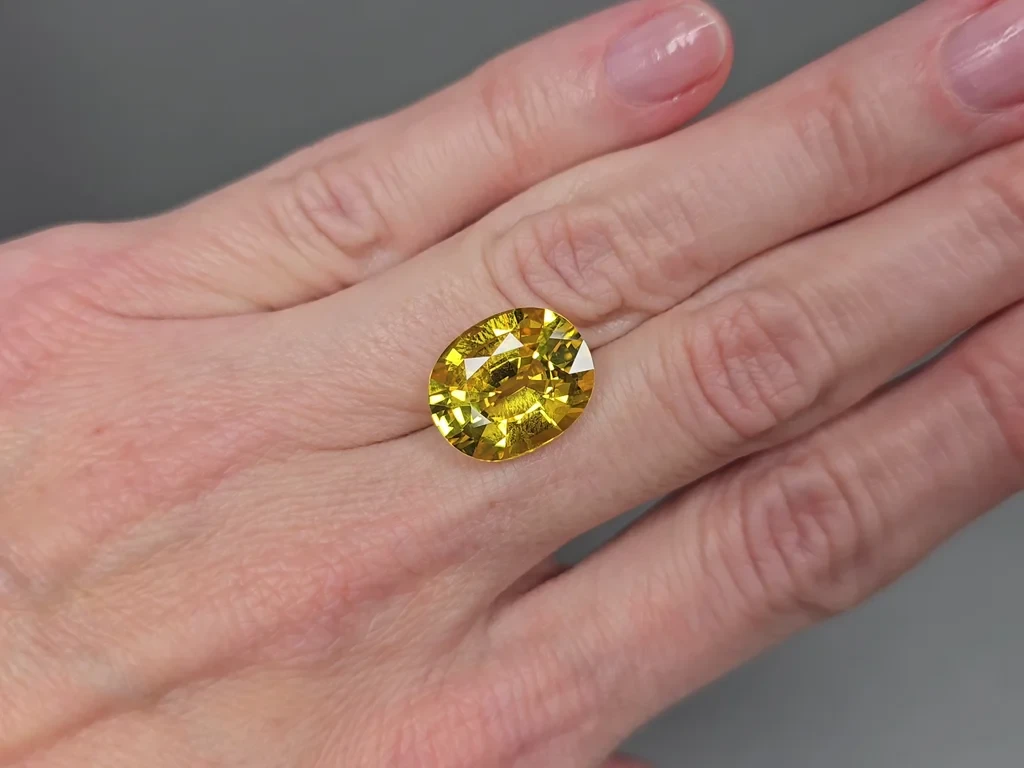 Set of Golden yellow sapphires in oval cut  26.75 carats, Sri Lanka Image №6