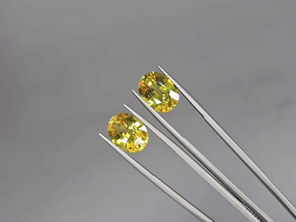 Set of Golden yellow sapphires in oval cut  26.75 carats, Sri Lanka Image №8