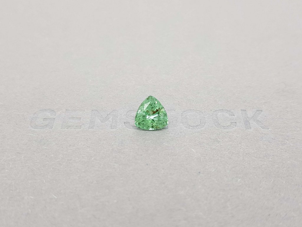 Light green tourmaline verdelite 1.26 trillion trillion cut Image №1