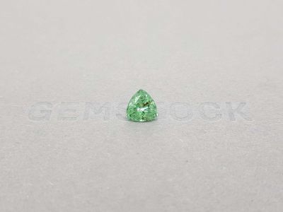 Light green tourmaline verdelite 1.26 trillion trillion cut photo