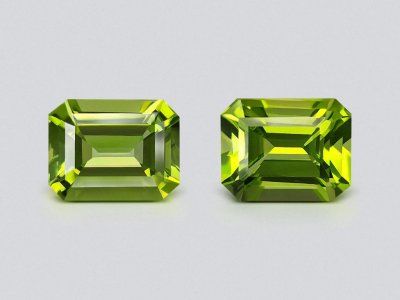 Pair of peridots from Burma in octagon cut 7.70 carats  photo