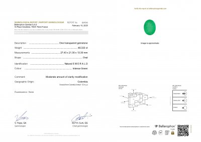 Certificate Huge Intense green emerald in oval cut 48.33 carats, Colombia