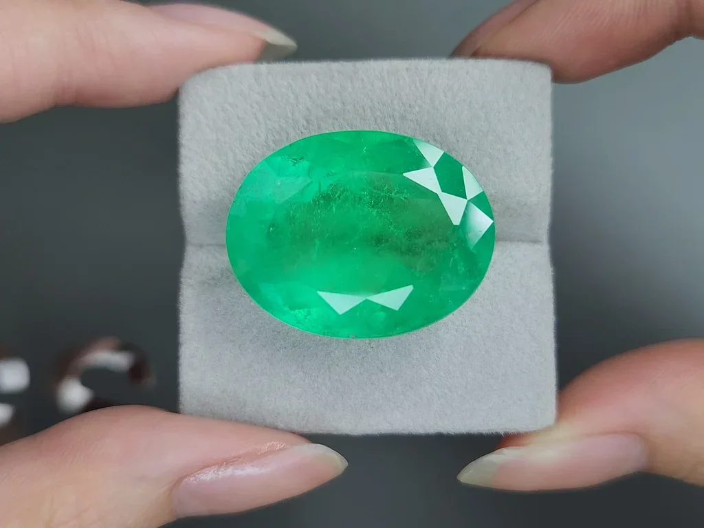 Huge Intense green emerald in oval cut 48.33 carats, Colombia Image №4