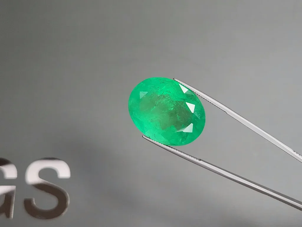 Huge Intense green emerald in oval cut 48.33 carats, Colombia Image №3