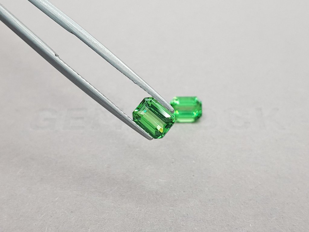 Pair of vibrant octagon cut tsavorites 2.03 ct Image №4