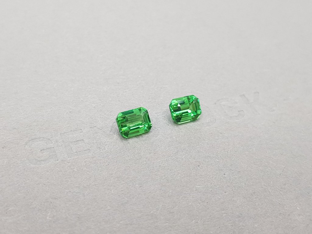 Pair of vibrant octagon cut tsavorites 2.03 ct Image №2