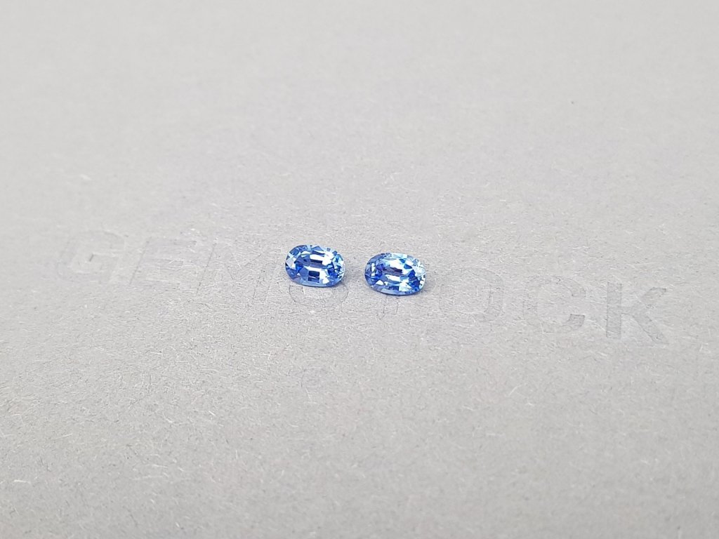 Pair pastel blue sapphires from Sri Lanka of oval cut 0,65 ct Image №4
