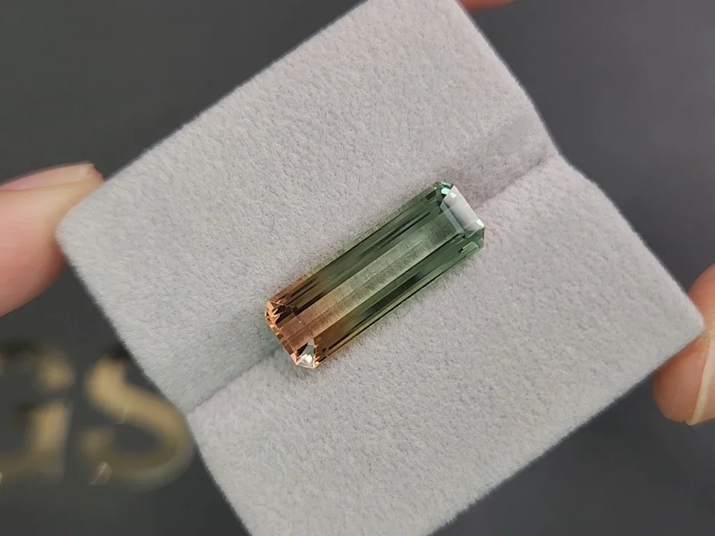 Octagon cut bi-color tourmaline 8.89 carats Image №4