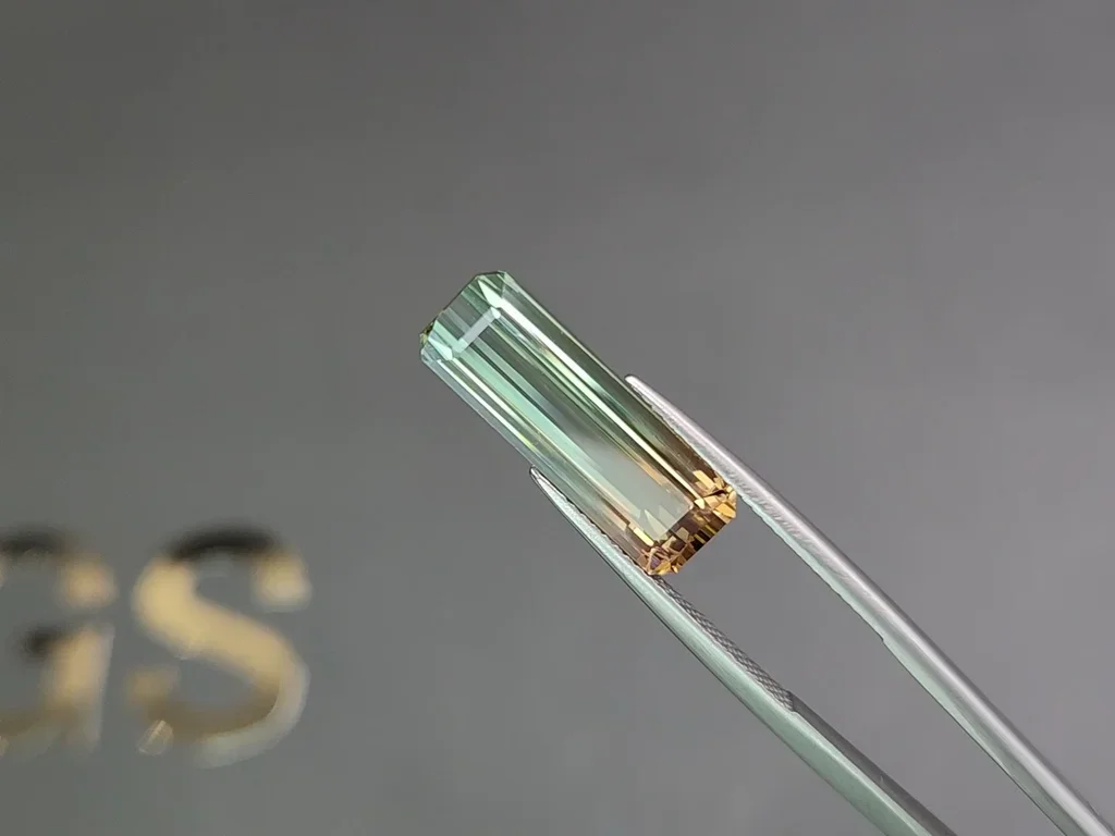 Octagon cut bi-color tourmaline 8.89 carats Image №3